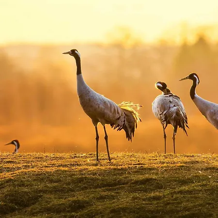 Seeblick - Mit Ausblick Auf Den Yachthafen * فارين